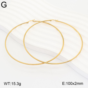 2E2007480vbnb-775  Stainless Steel Earrings