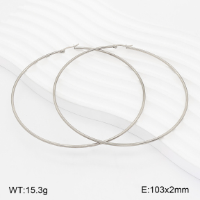 2E2007481vbll-775  Stainless Steel Earrings