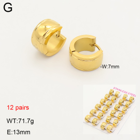 2E2007484alka-387  Stainless Steel Earrings