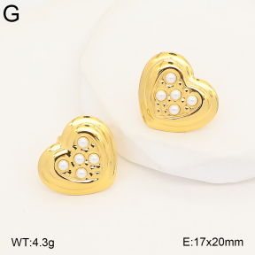 2E3004249abol-775  Stainless Steel Earrings