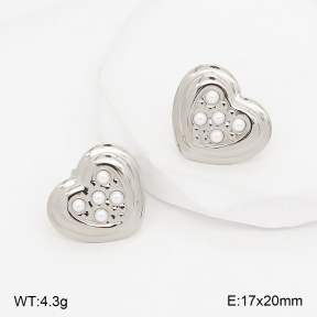 2E3004250vbnl-775  Stainless Steel Earrings