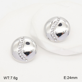 2E3004251abol-775  Stainless Steel Earrings
