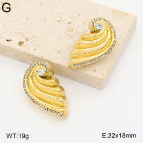 2E4005402vhkl-775  Stainless Steel Earrings
