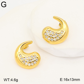 2E4005404bhva-775  Stainless Steel Earrings