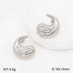 2E4005405abol-775  Stainless Steel Earrings