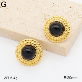 2E4005406bbov-775  Stainless Steel Earrings