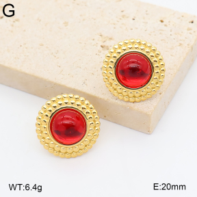 2E4005407bbov-775  Stainless Steel Earrings