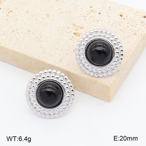 2E4005408vbnb-775  Stainless Steel Earrings