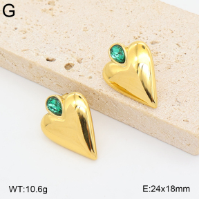 2E4005409abol-775  Stainless Steel Earrings