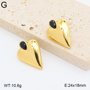 2E4005410abol-775  Stainless Steel Earrings