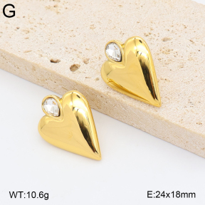 2E4005411abol-775  Stainless Steel Earrings