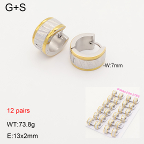 2E5000238alka-387  Stainless Steel Earrings