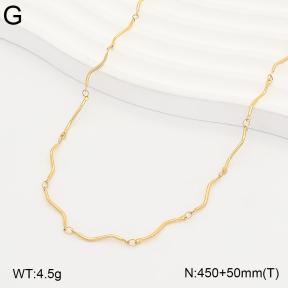 2N2009364vbpb-775  Stainless Steel Necklace