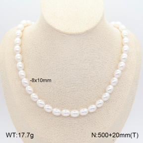 2N3003524bhjo-775  Stainless Steel Necklace