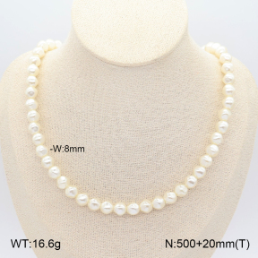 2N3003527bhjo-775  Stainless Steel Necklace