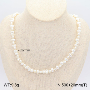 2N3003531bhjo-775  Stainless Steel Necklace