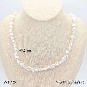 2N3003541bhjo-775  Stainless Steel Necklace