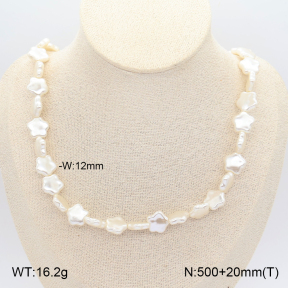 2N3003545bhjo-775  Stainless Steel Necklace