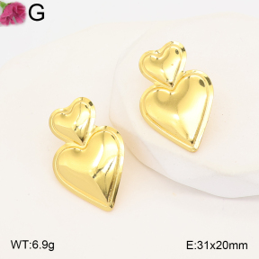F2E202546aaho-J191  Fashion Earrings