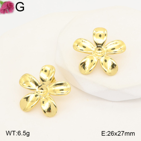 F2E202547aaho-J191  Fashion Earrings