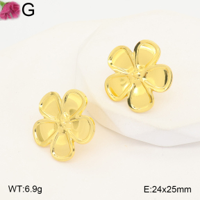 F2E202548aaho-J191  Fashion Earrings