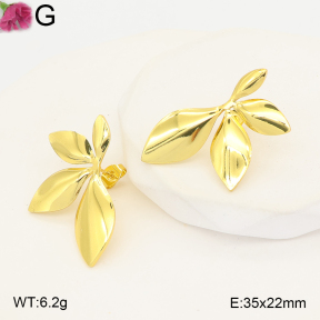 F2E202565aaho-J191  Fashion Earrings