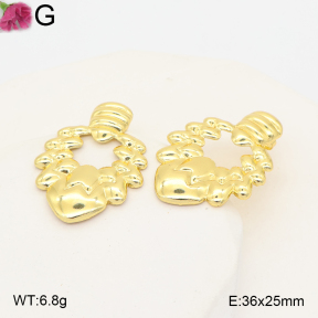 F2E202566aaho-J191  Fashion Earrings