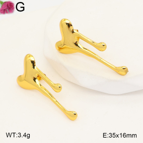 F2E202567aaho-J191  Fashion Earrings