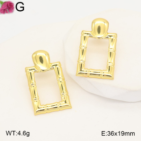 F2E202578aaho-J191  Fashion Earrings