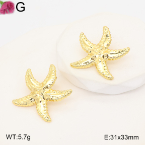 F2E202580aaho-J191  Fashion Earrings