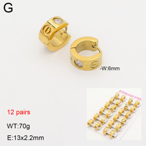 TE2000685amaa-387  Stainless Steel Earrings