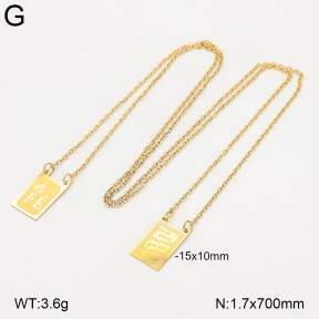 2N2009282baka-476  Stainless Steel Necklace