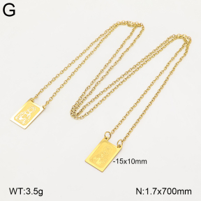 2N2009286baka-476  Stainless Steel Necklace