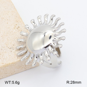 2R2002486ablb-334  7-10# Stainless Steel Earrings