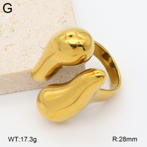 2R2002490vbmb-334  7-10#  Stainless Steel Earrings