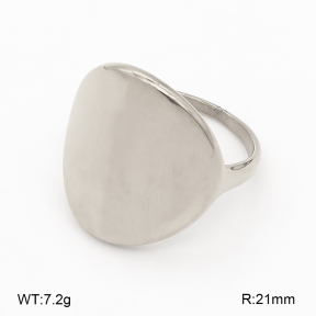 2R2002492ablb-334  7-10# Stainless Steel Earrings