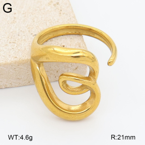 2R2002503vbmb-334  7-10#  Stainless Steel Earrings