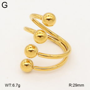 2R2002511vbmb-334  7-10#  Stainless Steel Earrings