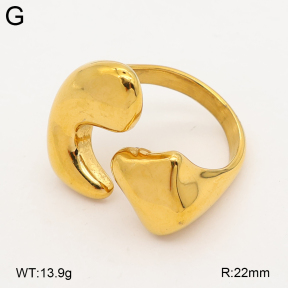 2R2002513vbmb-334  7-10#  Stainless Steel Earrings