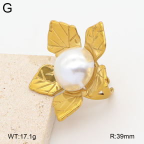 2R3000460bbml-334  7-10#  Stainless Steel Earrings