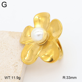 2R3000461bbml-334  7-10#  Stainless Steel Earrings