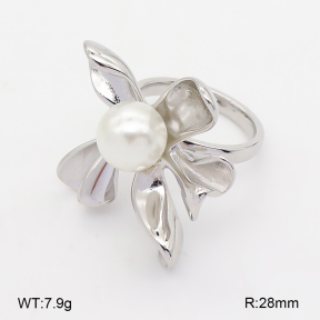 2R3000462vbll-334  7-10#  Stainless Steel Earrings