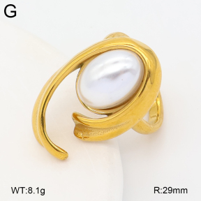 2R3000472vbmb-334  7-10#  Stainless Steel Earrings