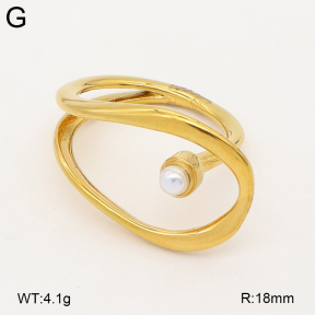 2R3000473vbmb-334  7-10#  Stainless Steel Earrings