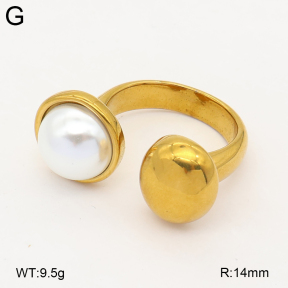 2R3000474vbmb-334  7-10#  Stainless Steel Earrings