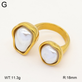2R3000481bbml-334  7-10#  Stainless Steel Earrings