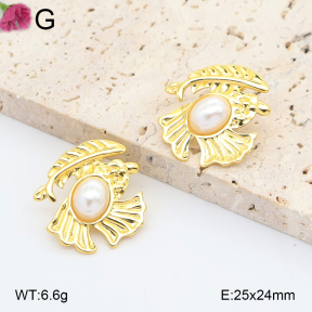 F2E301362aajl-J192  Fashion Earrings