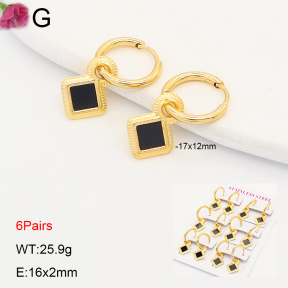 F2E402317ahlv-J192  Fashion Earrings