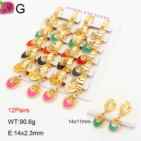 F2E402354akia-J192  Fashion Earrings