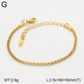 2B2006176aajo-774  Stainless Steel Bracelet